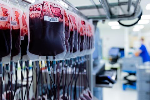 Blutspenden: Blutkonserven in einem Labor