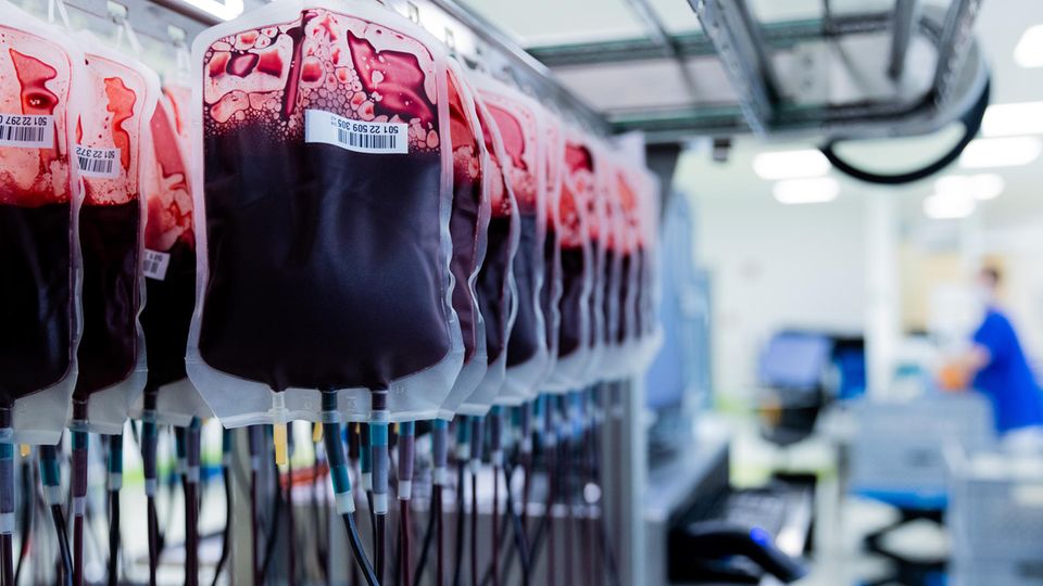 Blutspenden: Blutkonserven in einem Labor