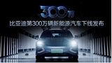 BYD erweitert sein Portfolio
