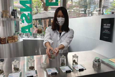 Cannabis-Shopping in Thailand: Eine Verkäuferin des Geschäfts "The Dispensary" in Bangkok zeigt eine Marihuana-Sorte