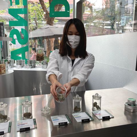 Cannabis-Shopping in Thailand: Eine Verkäuferin des Geschäfts "The Dispensary" in Bangkok zeigt eine Marihuana-Sorte