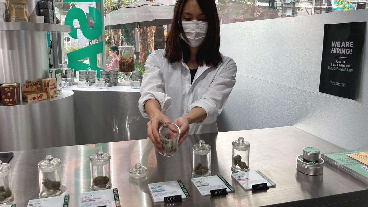 Cannabis-Shopping in Thailand: Eine Verkäuferin des Geschäfts "The Dispensary" in Bangkok zeigt eine Marihuana-Sorte