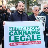 Italien. Die im Oktober 2022 vereidigte neue rechte Regierung in Rom ist gegen eine Cannabis-Legalisierung. Dabei war in dem Land eigentlich ein Gesetz geplant, wonach bis zu vier Hanfpflanzen zum Eigenkonsum künftig erlaubt gewesen wären. Befürworter hatten im Herbst 2021 Hunderttausende Stimmen für ein Referendum zur Legalisierung des Anbaus der Droge gesammelt, ihre Forderungen aber zu weitgehenden formuliert, weshalb das Verfassungsgericht sie abblitzen ließ.