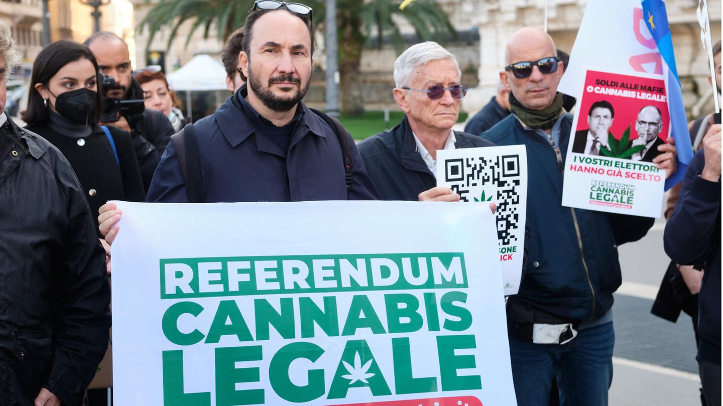 Italien. Die im Oktober 2022 vereidigte neue rechte Regierung in Rom ist gegen eine Cannabis-Legalisierung. Dabei war in dem Land eigentlich ein Gesetz geplant, wonach bis zu vier Hanfpflanzen zum Eigenkonsum künftig erlaubt gewesen wären. Befürworter hatten im Herbst 2021 Hunderttausende Stimmen für ein Referendum zur Legalisierung des Anbaus der Droge gesammelt, ihre Forderungen aber zu weitgehenden formuliert, weshalb das Verfassungsgericht sie abblitzen ließ.