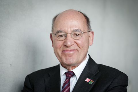 Gregor Gysi (Die Linke), Bundestagsabgeordneter