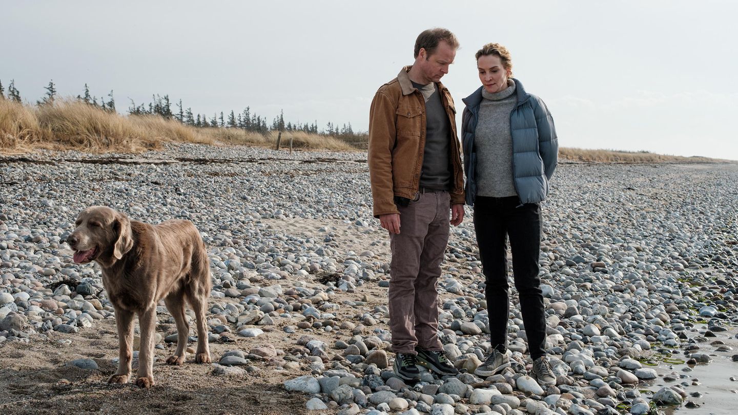 "Nord bei Nordwest: Canasta"