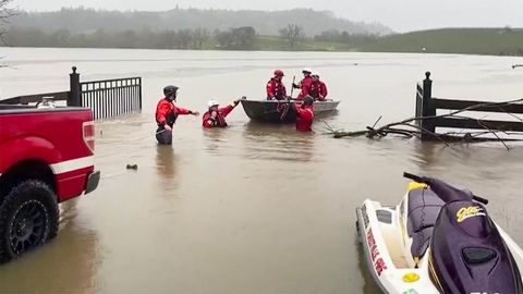 Wetterchaos: Zwischen sintflutartigen Schauern und flammenden Wäldern: Bilder des Sommers 2021