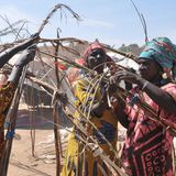 Diese Frauen in Kolodougou sind Binnenflüchtlinge. Gewalttätige Auseinandersetzungen haben sie wie Hunderttausende weitere Menschen im Land heimatlos werden lassen. Hier errichten sie gemeinsam eine Unterkunft.  In Mali ist als Folge der angespannten Sicherheitslage, schwerer Dürren und der Corona-Pandemie eine Rekordzahl von 1,2 Millionen Menschen von Hunger bedroht. Fast ein Drittel der Kinder unter fünf Jahren leidet laut Care wegen Mangelernährung unter Störungen von Wachstum und Entwicklung. Mehr als drei Viertel der 21 Millionen Einwohner leben in Armut und mehr als 7,5 Millionen Menschen benötigen humanitäre Hilfe. Eines von acht Kindern im Grundschulalter geht nicht zur Schule. Von den eingeschulten Kindern sind nur ein Drittel Mädchen.  Der Klimawandel zeigt sich in dem riesigen Binnenland im Herzen der Sahelzone häufig in Form von Trockenheiten und Überflutungen, die zu Ernteausfällen führen. Die Böden sind ausgelaugt, doch es fehlt an Düngemitteln. Zudem sind überall in Mali terroristische Anschläge möglich, warnt das Bundesministerium für wirtschaftliche Zusammenarbeit und Entwicklung. Besonders im Norden und im Zentrum kommt es immer wieder zu gewaltsamen Auseinandersetzungen vorwiegend islamistischer Terrorgruppen.