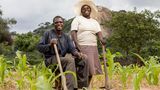 In dem Binnenstaat im Süden Afrikas werden die Folgen des Klimawandels besonders deutlich: Simbabwe leidet unter wiederkehrenden Dürren auf die sturzflutartige Regenfälle folgen. Viele Männer verlassen ihre Familien, wenn eine Trockenheit auftritt. Nicht so bei diesem Paar. "Mein Mann hilft mir im Garten. Bereits sein Vater hat seine Mutter unterstützt", sagt die Frau. "Gemeinsam haben seine Eltern vieles geschafft, gemeinsam schaffen es auch wir."  Simbabwes einst blühende kommerzielle Landwirtschaft liegt ebenso wie die Industrie am Boden. Im Zuge einer Landreform Ende der 90er-Jahre wurden zudem viele großbäuerliche Betriebe zerschlagen und Ackerflächen neu verteilt. Damit büßte das Land an Produktivität ein und Arbeitslosigkeit und Ernährungsunsicherheit prägen nun den Alltag der Menschen. Etwa die Hälfte der rund 15,6 Millionen Einwohner lebt in extremer Armut. Knapp ein Drittel der Kinder unter fünf Jahren sind nach Angaben der Welthungerhilfe mangelernährt mit Anzeichen von Wachstums- und Entwicklungsverzögerungen.