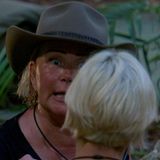 Das Dschungelcamp hat sein erstes Klageweib: Gleich am ersten Abend erzählt Claudia Effenberg ihre Leidensgeschichte - und hört gar nicht mehr auf. "Ich bin total am Ende nach dieser ganzen Wanderung durch den Dschungel", zetert sie. Dann erzählt sie Verena, Djamila und Tessa die "Leidensgeschichte" ihrer Prüfung. Daran sei wirklich alles furchtbar gewesen: der Weg, der Dschungel und die Tatsache, dass sie als Letzte antreten musste. Das findet sie unfair. Auch das Sachen auf den Betten liegen, bringt die Frau von "Tiger" Stefan Effenberg in Rage: "Ich kann nicht in der Hängematte liegen. Ich bin die älteste Frau!"