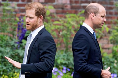 Prinz Harry und Prinz William enthüllten im Sommer 2021 gemeinsam die Statue ihrer geliebten Mutter Diana – es sollte der letzte Termin sein, an dem die Brüder ohne die restliche Familie zu sehen war