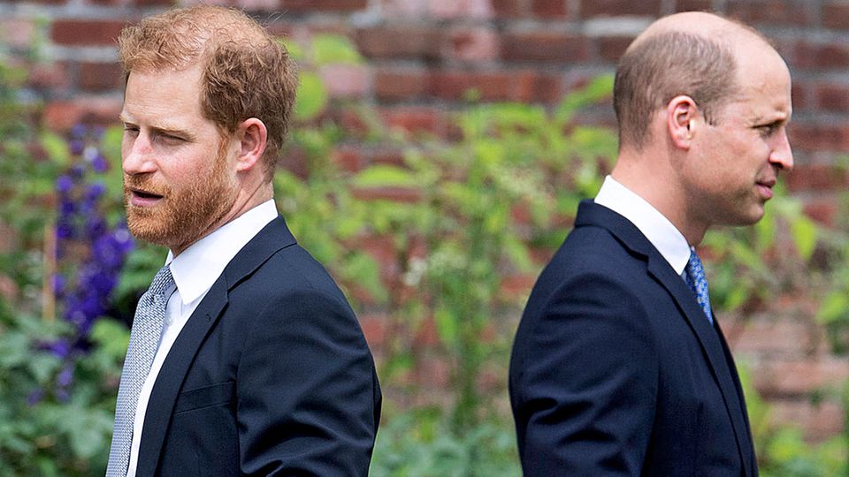 Prinz Harry Und Prinz William: Psychologe über Geschwister-Mobbing ...