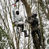 Ein Klimaktivist und ein Polizeikletterer hängen sich an einem Baum in Lützerath gegenüber