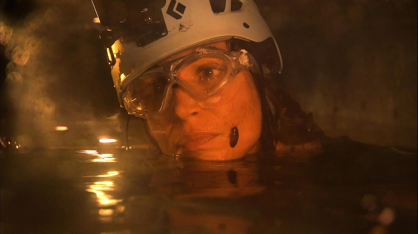 Unten im Kanal trifft Tessa Bergmeier auf Kakerlaken und Krebse - macht sich aber vor allem Sorgen um die Tiere. Darunter leidet ihre Performance - und so kehrt sie am Ende mit nur drei Sternen aus dem Verlies zurück.
