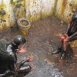 Zwar gab es für jede richtig abwechselnd buchstabierte Antwort einen Stern,. Doch falsche Antworten wurden hart bestraft: Von oben segelte eine Ladung Schleim, Innereien, Melasse, Kakerlaken, Maden oder Federn auf die beiden herab.