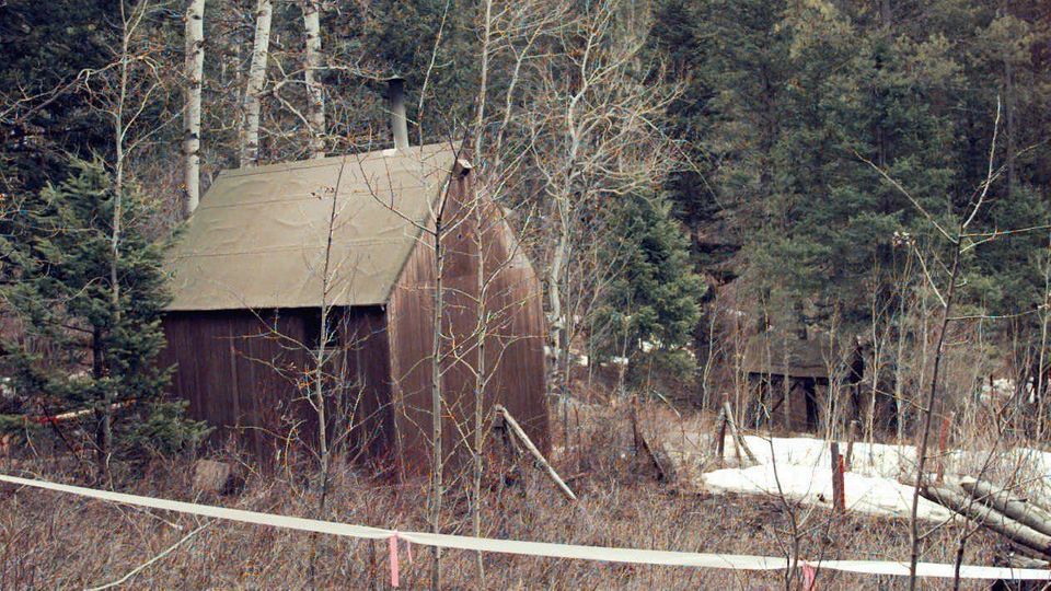 Holzhütte mitten im Wald