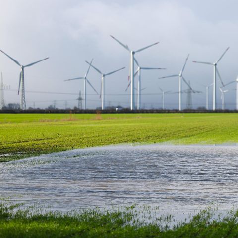 Trockene Böden nehmen Wasser nur schlecht auf