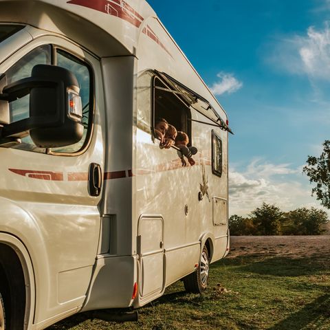 Camping ist vor allem im Sommer eine beliebte Reiseart. 