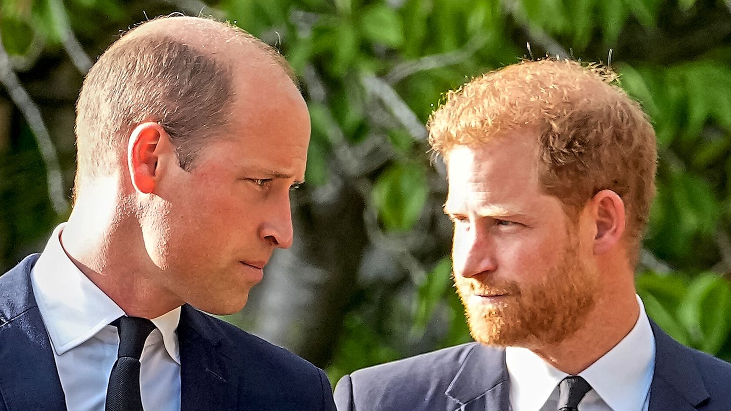 Prinz Harry und William Prinz Harry und William