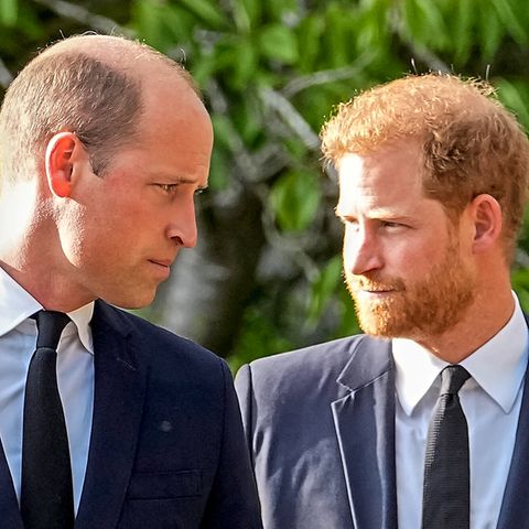 Prinz Harry und William
