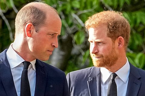 Prinz Harry und William