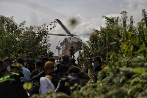Kolumbianische Soldaten sind auf Koka-Plantagen im Einsatz