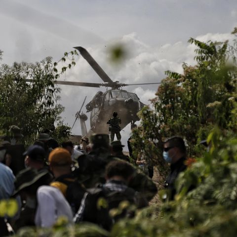 Kolumbianische Soldaten sind auf Koka-Plantagen im Einsatz