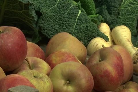 Video: Grüne Woche will noch grüner werden