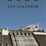 Das Titelbild des Kalenders weist auf die Vorteile des Detroit Damms in Oregon hin.