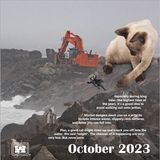 Oktober  "Während Sturmfluten sollte man es vermeiden, auf den Stegen zu laufen", warnt der Oktober-Beitrag. Dort gebe es jede Menge Gefahren - auch abseits von Katzenattacken.