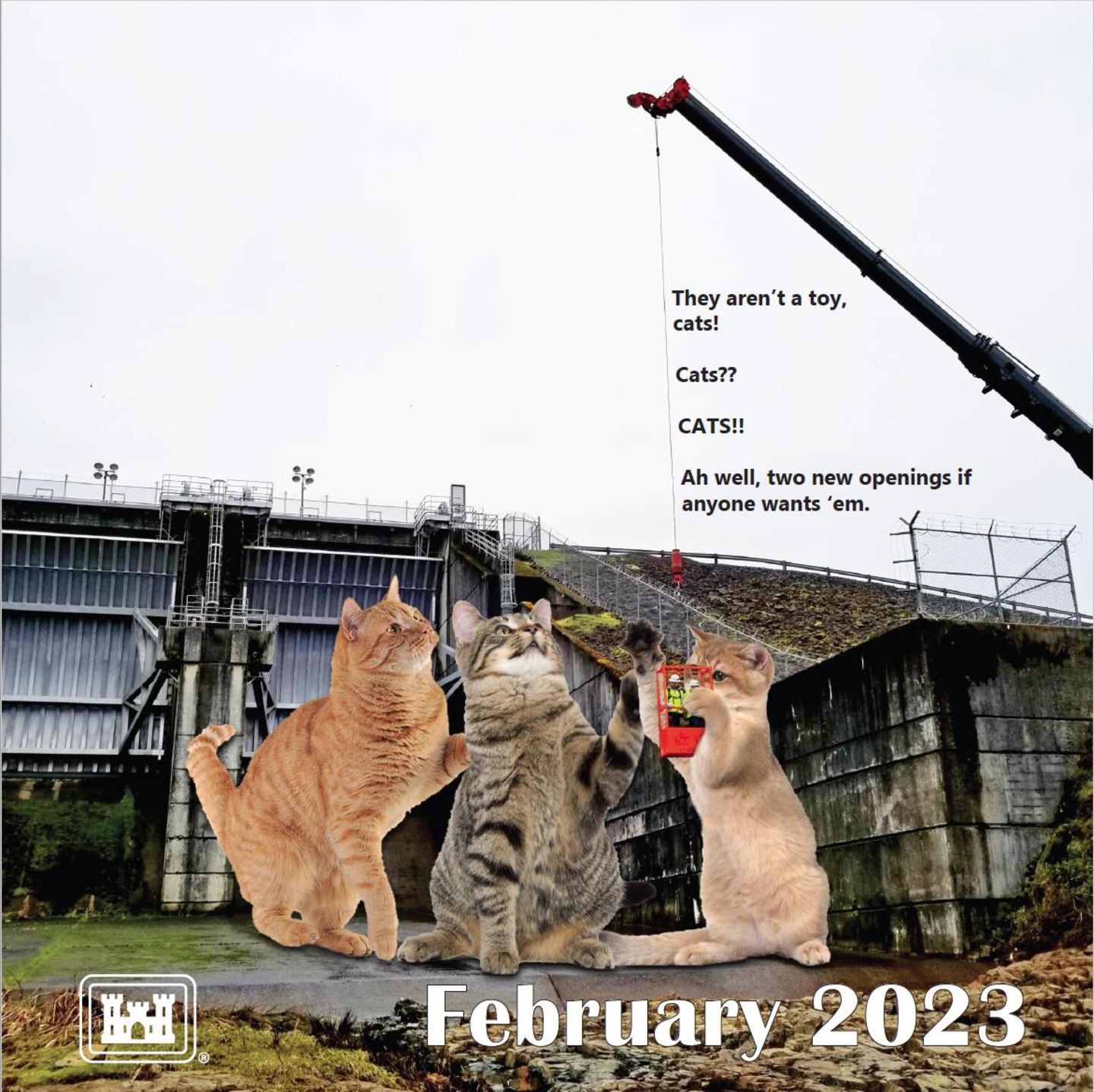 Februar  Die meisten Bilder sind allerdings in erster Linie lustig und nicht zwangsläufig informativ. Hier werden zwei Soldaten werden als Katzenspielzeug abgeschrieben. Jemand Interesse an den neu ausgeschriebenen Stellen?