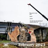 Februar  Die meisten Bilder sind allerdings in erster Linie lustig und nicht zwangsläufig informativ. Hier werden zwei Soldaten werden als Katzenspielzeug abgeschrieben. Jemand Interesse an den neu ausgeschriebenen Stellen?