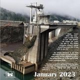 Januar  Wichtige Infrastruktur wie der Hills Creek Damm werden im Kalender zum Kratzbaum. Diese "stinkende Katze" würde immer auftauchen, wenn der Pegel zu niedrig steht, witzelt der Kalender. Und bringt ganz nebenbei Informationen zum Nutzen des Damms unter.