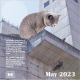 Mai  Selbst das Abseil-Training wird bei der Army zum Katzenwitz. "Wir hätten uns nicht 30 Meter abgeseilt, wenn diese Riesen-Katze nicht aufgetaucht wäre. Aber dann hatten wir das Gefühl, sie beeindrucken zu müssen."