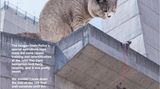 Mai  Selbst das Abseil-Training wird bei der Army zum Katzenwitz. "Wir hätten uns nicht 30 Meter abgeseilt, wenn diese Riesen-Katze nicht aufgetaucht wäre. Aber dann hatten wir das Gefühl, sie beeindrucken zu müssen."