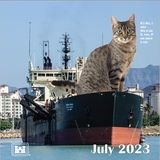 Juli  "Wenn es passt, dann sitzen sie dort."