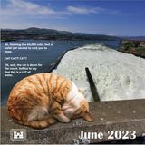 Juni  "Es geht nichts über 1,7 Millionen Liter Wasser die Sekunde, um sich in den Schlaf wiegen zu lassen."