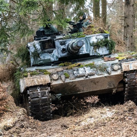 Von den älteren Modelle wie dem A4 sind in Europa große Mengen vorhanden.