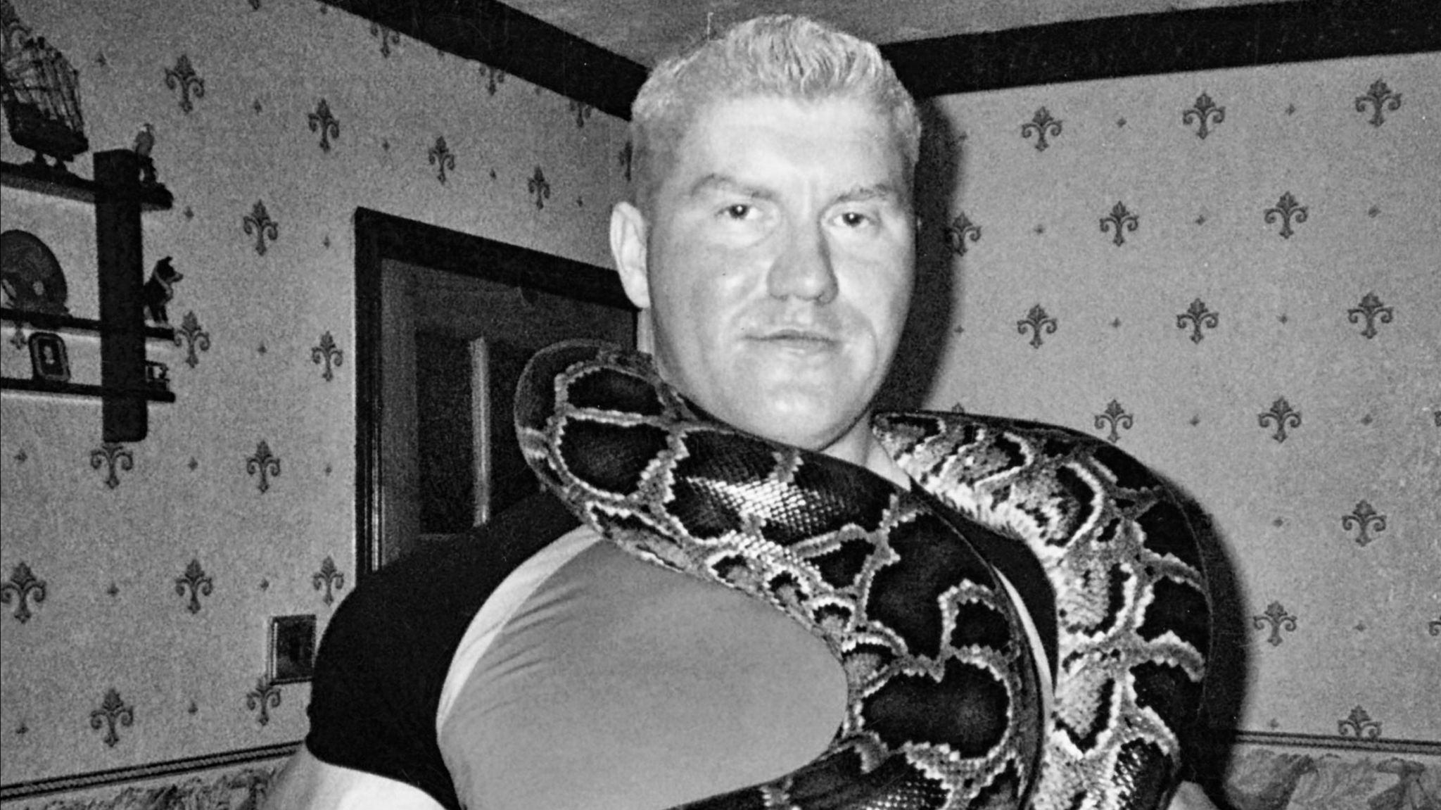 Moat mit einem Python