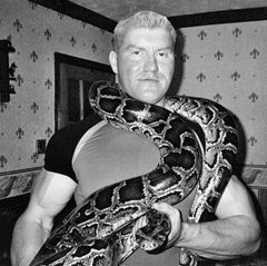 Moat mit einem Python