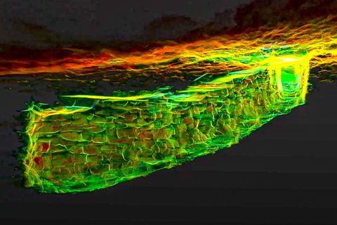 Erforschung per Lasertechnik: Mysteriöser Tunnel aus der Eisenzeit untersucht