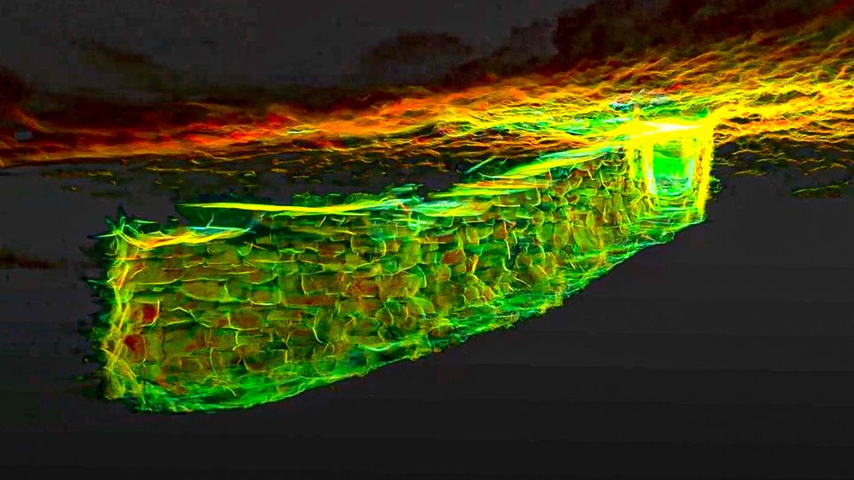 Erforschung per Lasertechnik: Mysteriöser Tunnel aus der Eisenzeit untersucht