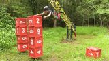 Dschungelcamp