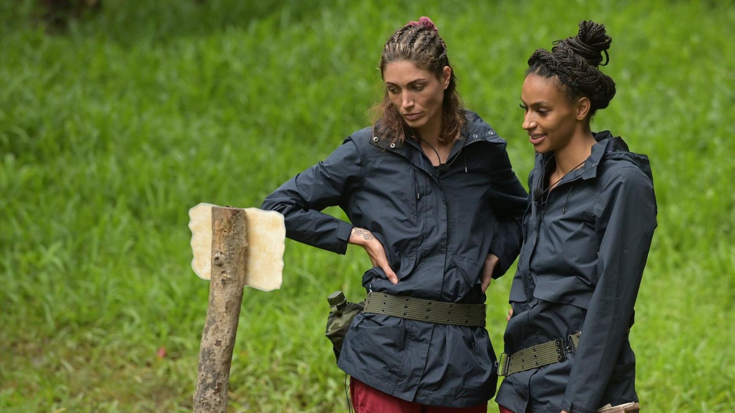 Dschungelcamp 2023: Am Achten Tag Fliegen Zwischen Cecilia Und Tessa ...