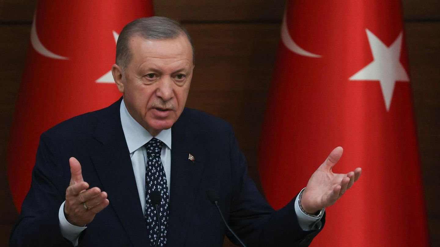 Der türkische Präsident Recep Tayyip Erdogan bei einer Rede in Ankara