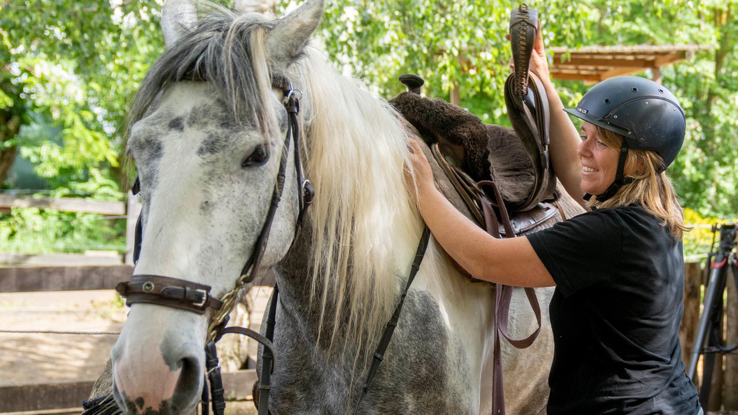 Nachhaltig leben: Wie Stephanie Kirchner vom Auto aufs Pferd umsattelte – und dabei bares Geld sparte