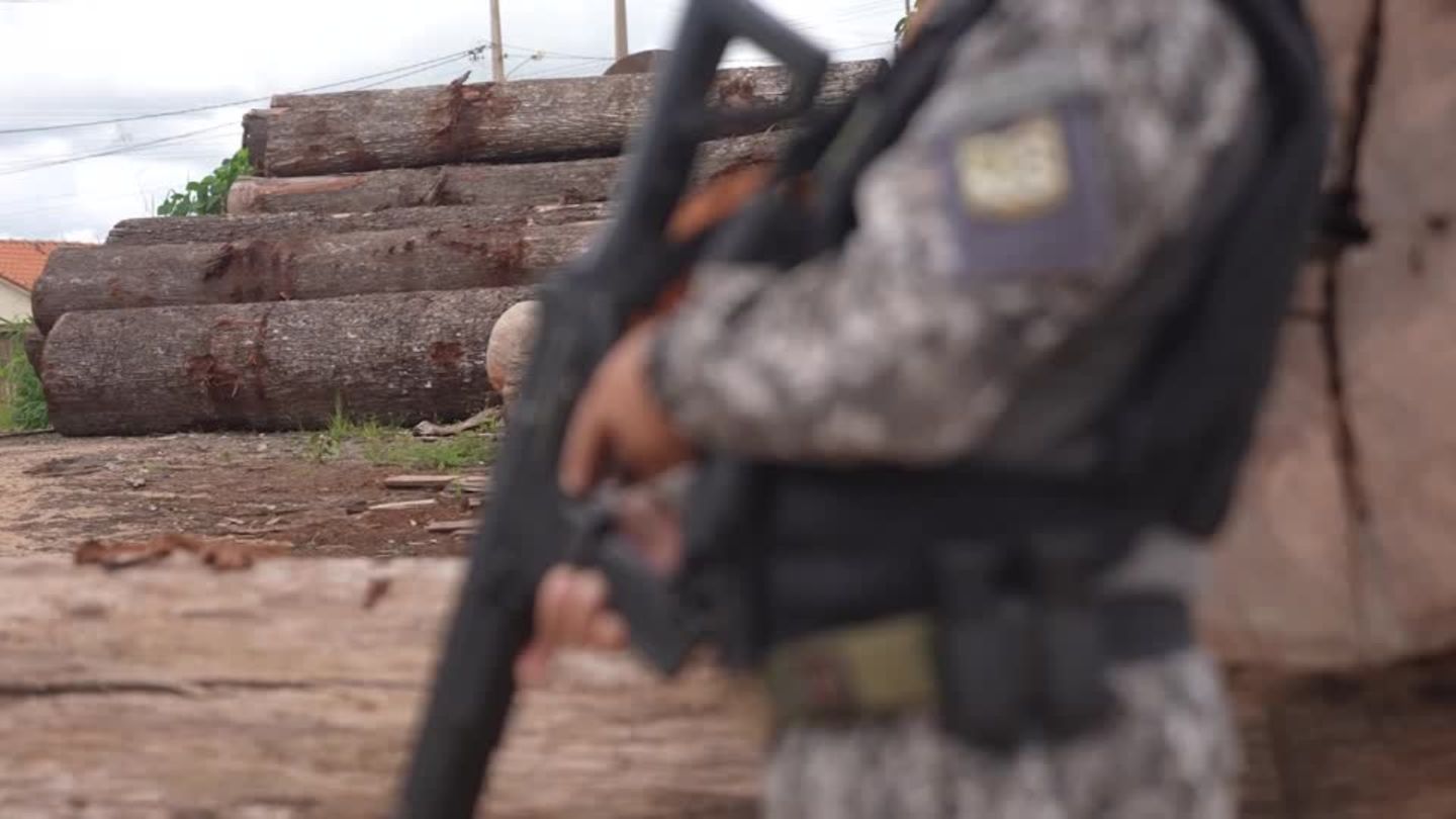 Video: Razzien gegen illegalen Holzeinschlag in Brasilien