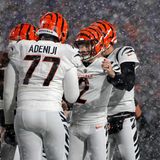 Evan McPherson (#2) von den Cincinnati Bengals feiert mit seinen Teamkollegen nach einem Field Goal gegen die Buffalo Bills. Kansas wird das Team aus Ohio gewiss nicht unterschätzen – schon vergangene Saison waren die Bengals die Endstation für die Chiefs.