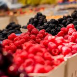 Einen Überschuss an frischem Obst können Sie ganz einfach weiterverarbeiten: Entweder Sie kochen daraus Marmeladen oder Konfitüren oder aber Sie schneiden Obst wie Beeren in kleine Stücke und frieren Sie in wiederverschließbaren Beuteln ein. Sie können je nach Bedarf Obst für Smoothies oder zum Backen portionsweise herausnehmen. 