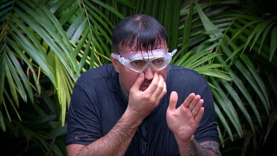 IBES 2023: Wellness-Program im Dschungel– Prüfung mit Ekel und Emotionen
